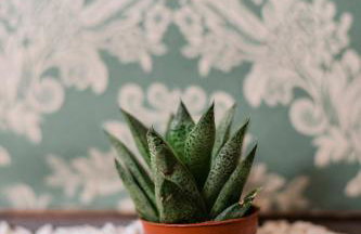 Dimora Augusto & Valentina - Foto 25