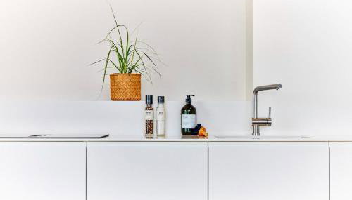 Netzschuppen 3 - Foto 3