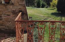 Casale La Pineta - Foto 17