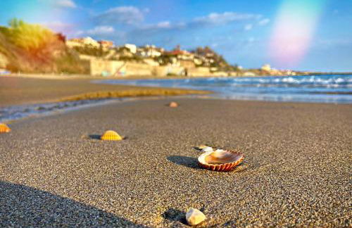 RESIDENZA I GIRASOLI - Spacious private house near the sea, quiet residential area - Lido dei Pini ANZIO - Photo 23