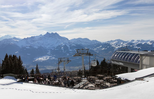 Chaperon Rouge A3 - Foto 26