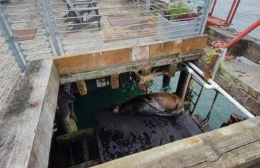 Grand Hideaway - King Bed! - Foto 19