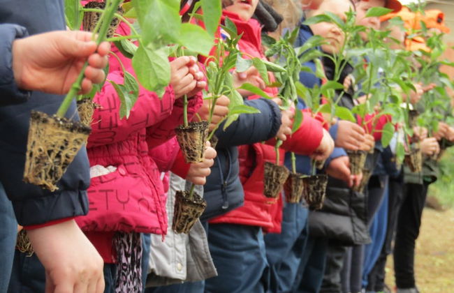 Colle San Mauro - Foto 52