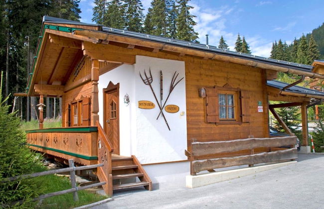 Chalet in Austria Near Ski Lift & Forest - Foto 1