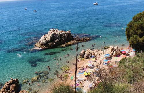 terraza al mar - Photo 68