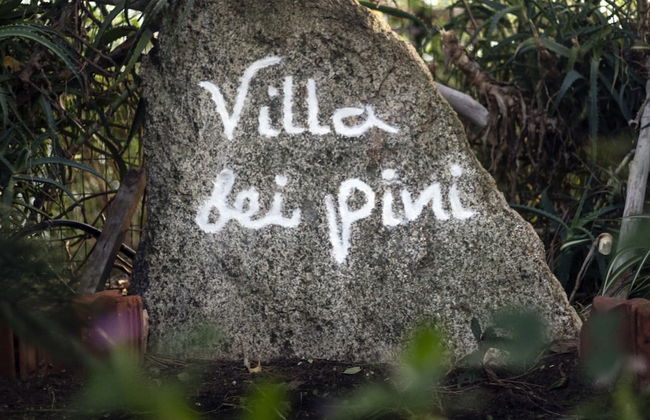 Ville Pini e Aurelia - Foto 65