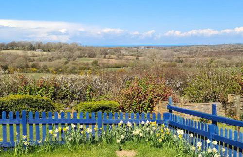 Ddol Cottage Traditional Coastal cottage nr Llangrannog & New Quay with Donkeys - Photo 8