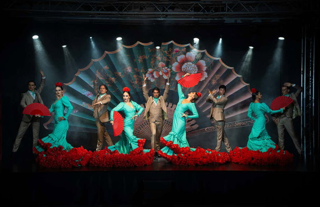 Olé Flamenco Show - Foto 2