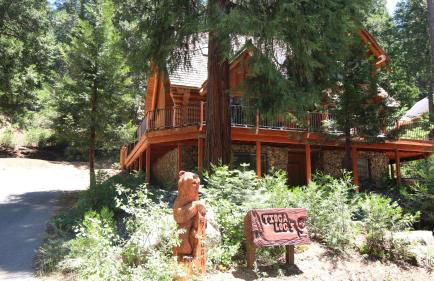 Tioga Logs - Foto 1