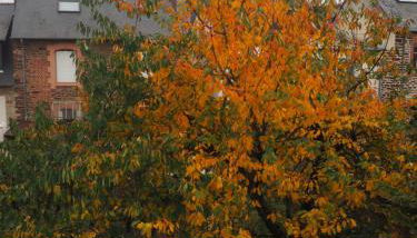 L'Etage - Foto 3, Garden view