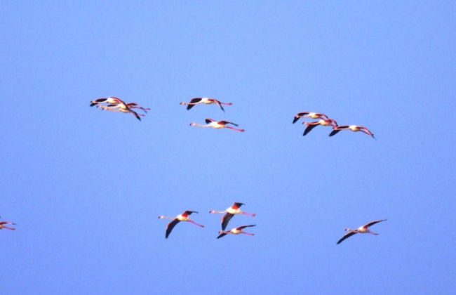 Resort in Lido di Spina Near Adriatic Coast - Foto 36