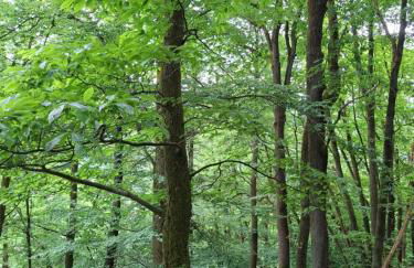 Auszeit Wunschblick - Foto 53