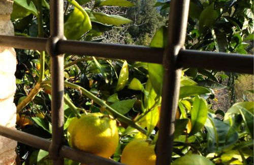 Tenuta di Campodori - Foto 33