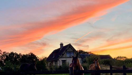 L'Etape Normande & Jacuzzi - Foto 4