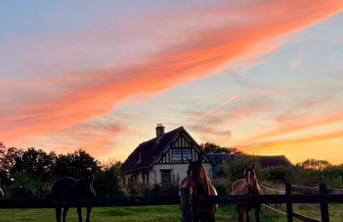 L'Etape Normande & Jacuzzi - Foto 4