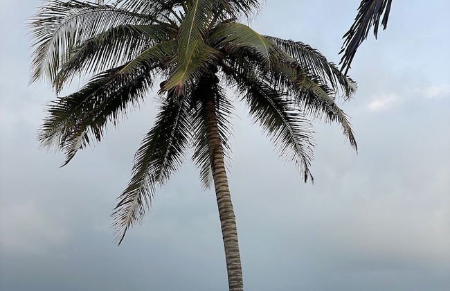 cabañas bari - Foto 21