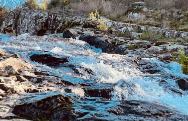 Casa Grande Abrunheiro Grande - Foto 51