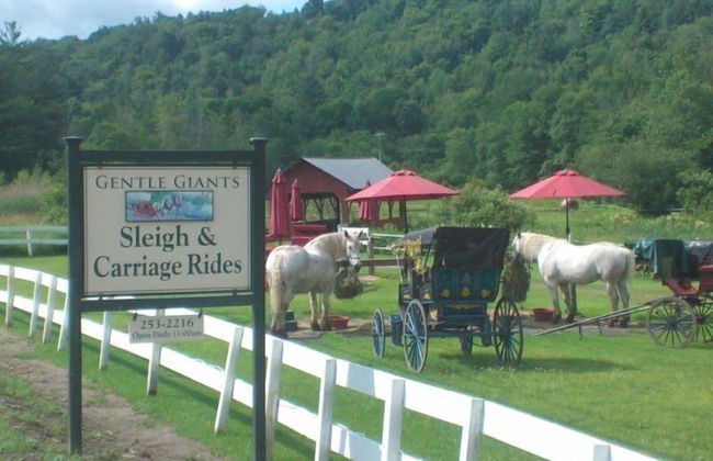 2BR Topnotch Condo - Photo 20