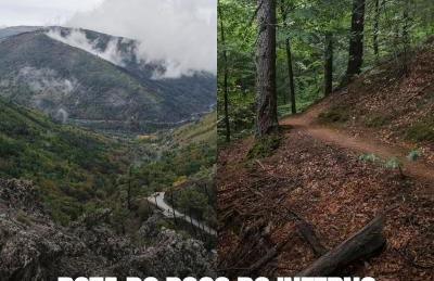 Dona Irene AL - Foto 55