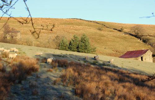 Beebole Cottage - Foto 30