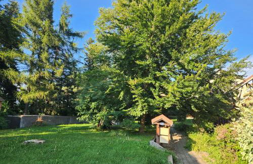 appartement T3 avec jardin proche village - Foto 57