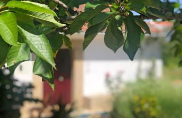 Ola Linda - Casa de Campo - - Foto 8