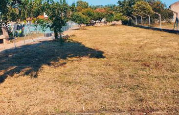 Villa Ginzo - Foto 23