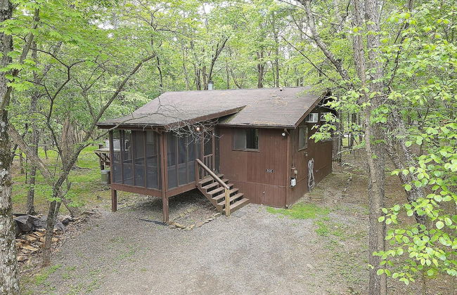 Woods Song - Natures Promise - Foto 30