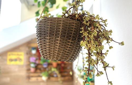 Vivienda turística Jaén Interior ÁTICO - Foto 12