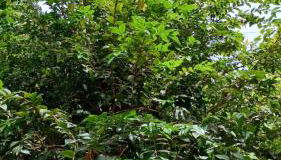 Suite Da Ju - Photo 5