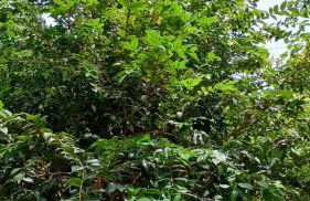 Suite Da Ju - Photo 5