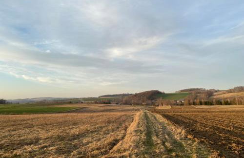 Grudza83 Bikepoint - Foto 52