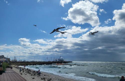 Apartament HEL - Foto 10