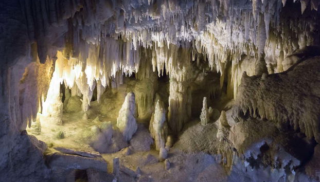 Excursión a Alberobello, Ostuni y Locorotondo - Foto 4