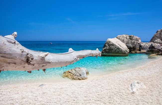 Residence Cala Viola - Photo 16