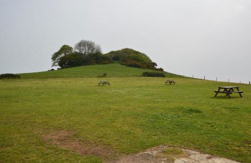 Queen Bower Farm Lodge - Foto 68