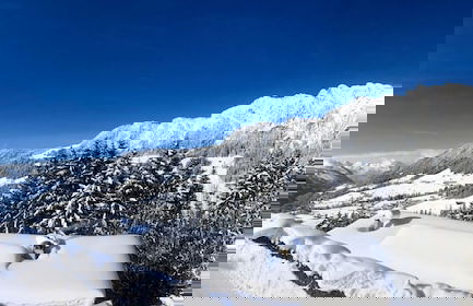 Alpbach Bergwald - Foto 53