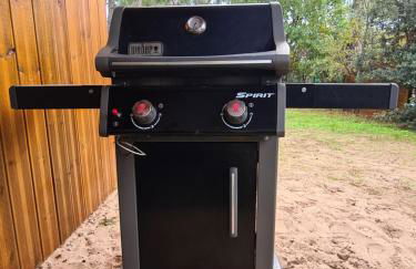 LES EMBRUNS - Photo 11