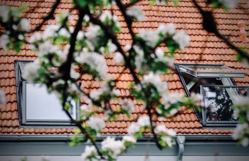 Löwenherz Appartements - Foto 58