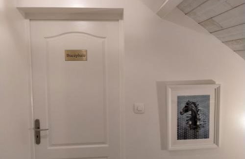 Manoir de L'Aisnerie - Foto 52