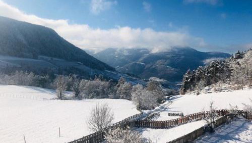 Moarhof in Oberbozen - Foto 5