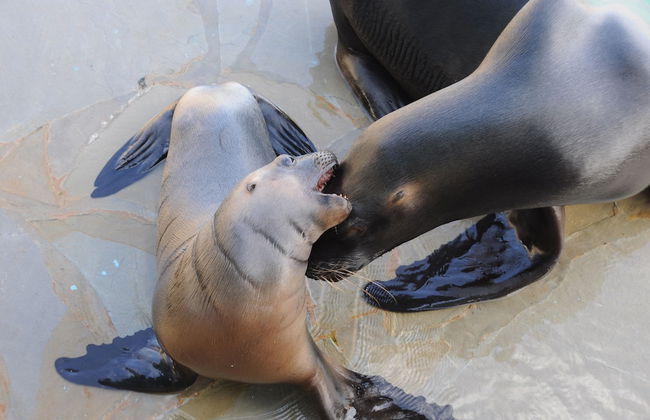 Apartment Plaza Sosua 2 - Foto 20