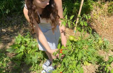 DOLCE VITA IN TUSCANY Cottage - Foto 59