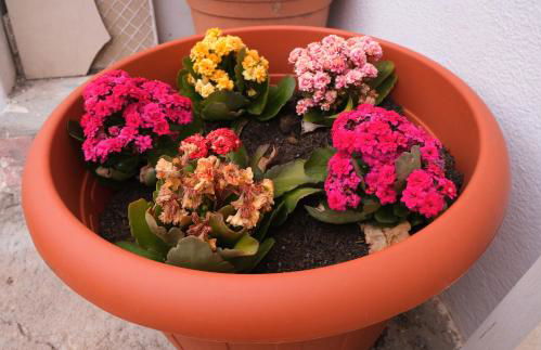 Sunset Beach House Buggerru - Foto 32