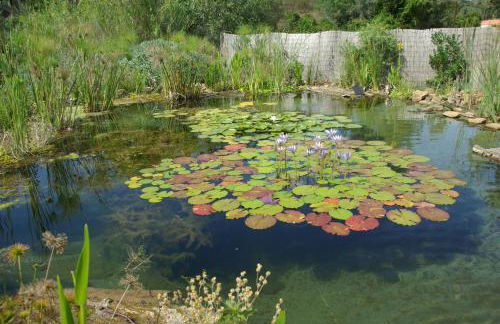 Quinta do Arade - casa 4 pétalas - Foto 12