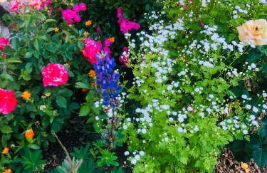 Apartments Smirnov - Foto 38