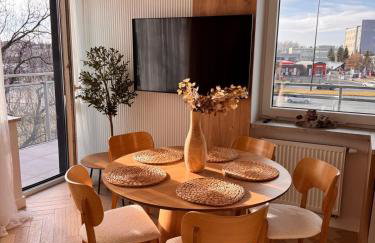 Family & Business Apartments PREMIUM SPA No 3 - 2 Bedroom with Private Jacuzzi, Balcony, Parking - Foto 10