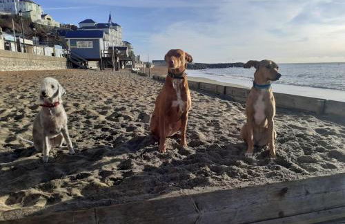 Wheelers Bay Apartment - Foto 9