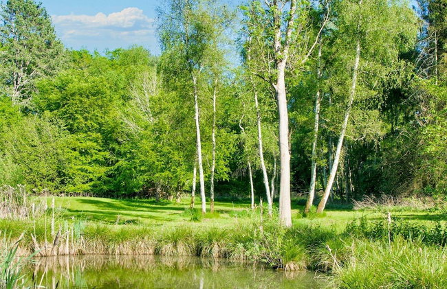 7 Person Holiday Home in Hornbaek-by Traum - Foto 47