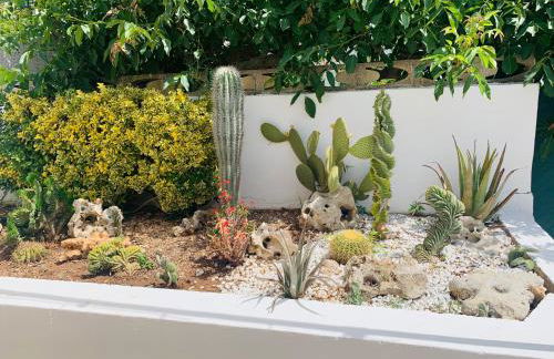 CASA AL MARE RIO b&n - Foto 34